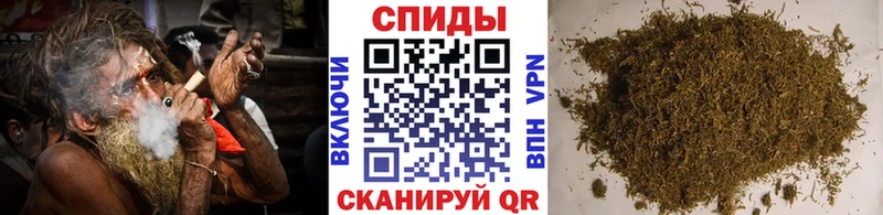 Бутират буратино  где можно купить   Заводоуковск 